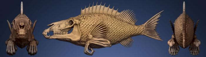 3D мадэль Рыбья голова 2 (STL)